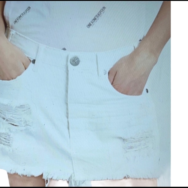 Nwt.... One X Oneteaspoon Chalk Junkyard Skirt